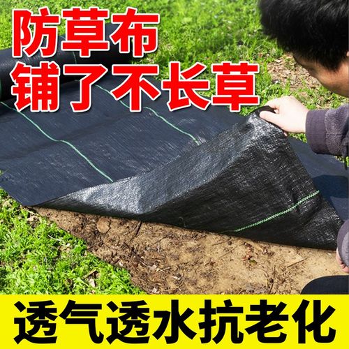 庭院防草布除草布果园果树切片保湿耐用园艺抗老化遮盖地布地丁