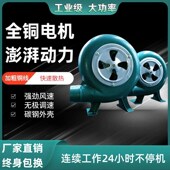 烧烤鼓风机小型220v大功率手持电动柴火炉烧烤木炭生火手摇吹风机