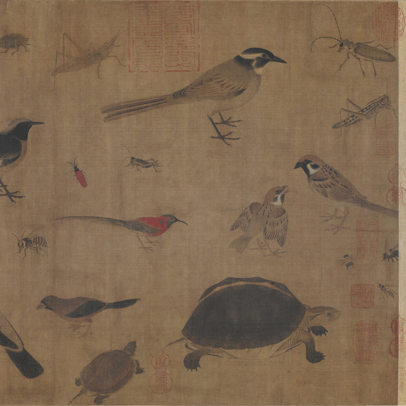 五代黄筌写生珍禽图复古书画作品国画真迹高清微喷仿古复制品装饰