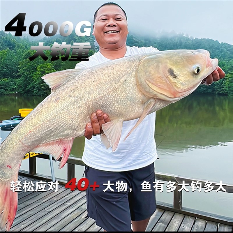 神鹰龙影K超轻H硬度19调好抛投轻量大物竿湖库黑坑轻硬挺鲢鳙竿