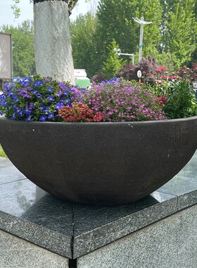 大花钵拼盘超大盆浅盆敞口盆大碗盆圆形花箱景观大口盆矮盆紫砂盆