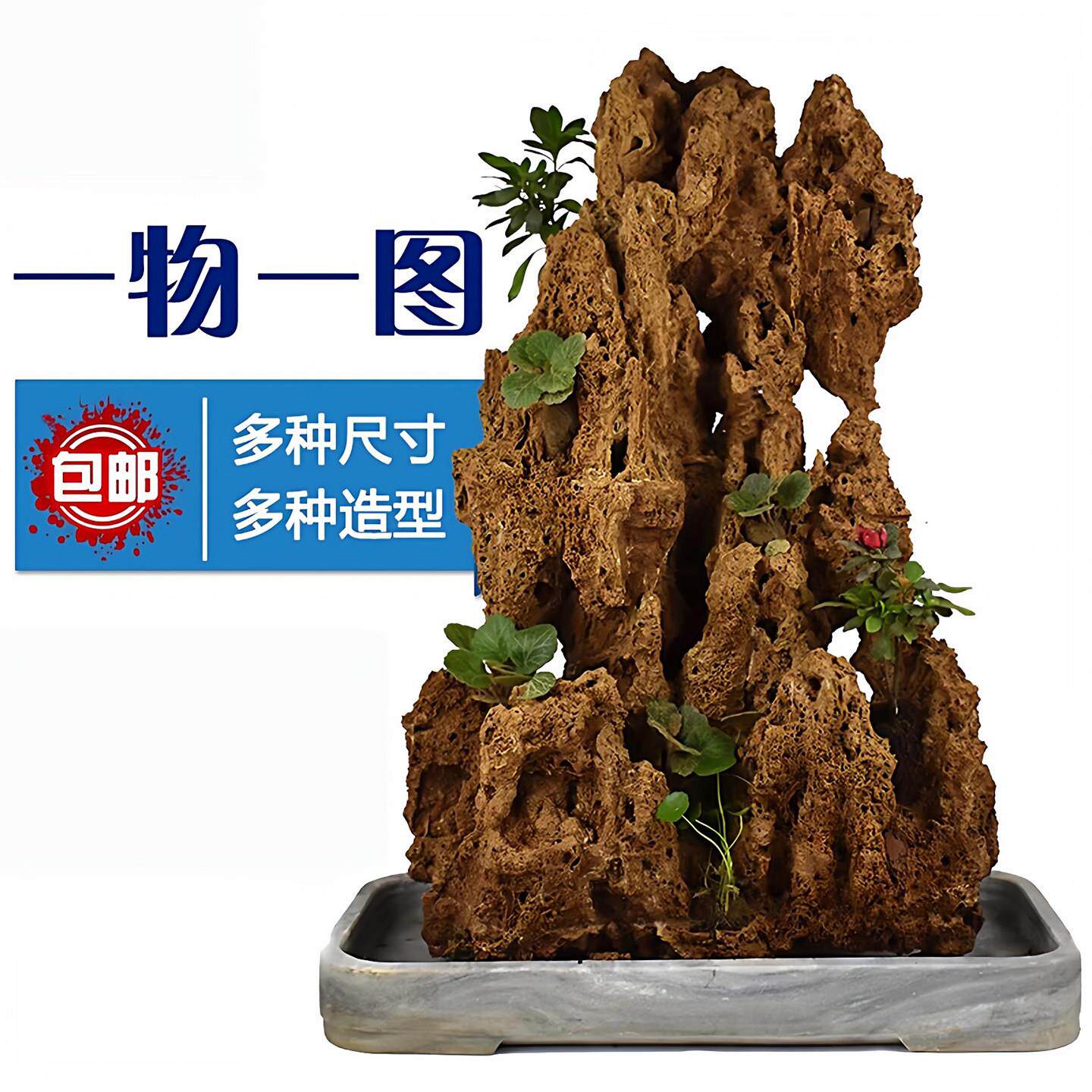 吸水石头盆景上水石水秀原石客厅中大观赏奇石真石植物假山造型石
