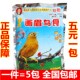 正宗贵州妙歌画眉鸟食饲料营养全面助换毛料斗唱雀鸟提性壮膘饲料