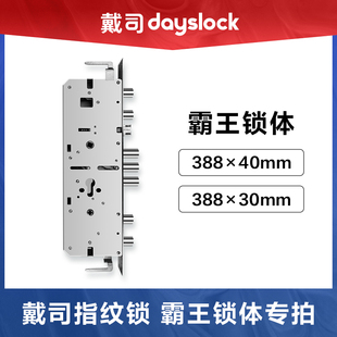 【选配】戴司智能锁专用直插芯304防爆霸王锁体