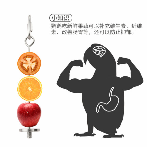 优嗖鹦鹉鸟笼配件不锈钢水果叉牡丹玄风站架水果叉鸟玩具用品鸟笼