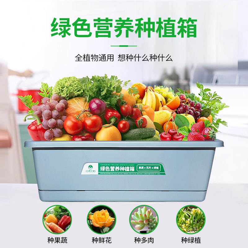 家庭盆栽食用四季种植室内外阳台蔬菜生菜油菜白菜种植箱种菜专用