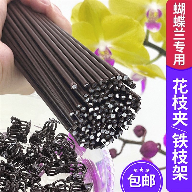 蝴蝶兰支架夹子固定爬藤类造型铁丝防倒伏园艺花卉植物支撑杆花架