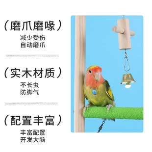 虎皮牡丹玄凤鹦鹉站架脚链爬梯磨爪实木站棍互动平台花椒木鸟站架