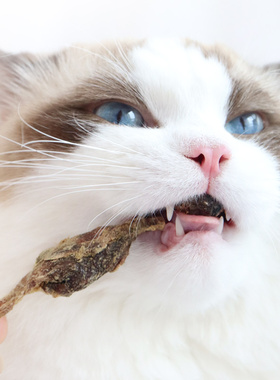 爱立方鹌鹑冻干猫咪零食冻干生骨肉猫粮成猫110gx3包