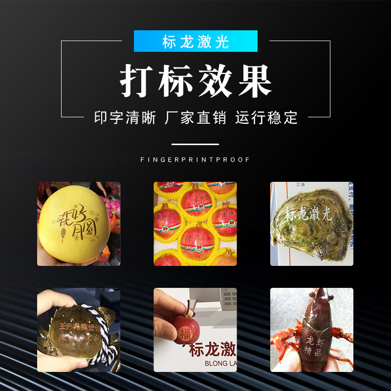 木头皮革筷子刻字机木梳水果非金属雕刻机 二氧化碳co2激光打标机