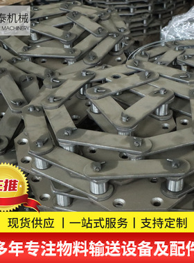定制板式链条工业输送板式链条大节距传动链条NE50提升机板式链条