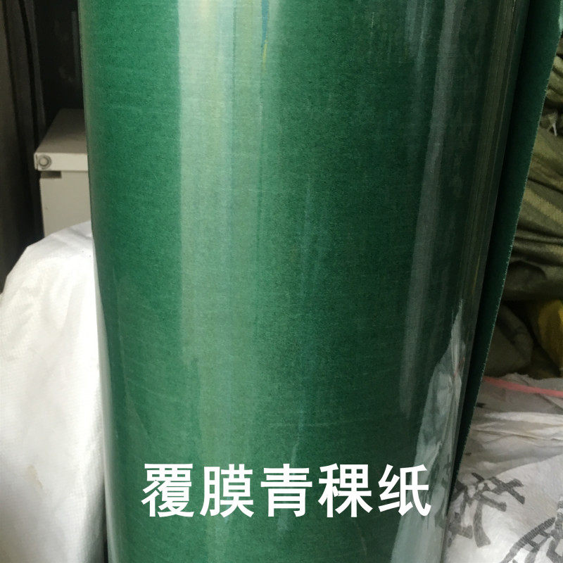 FDMD绝缘纸电机青稞纸白色复合绝缘纸DM0.20 mm公斤耐高温