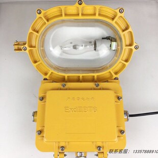 BFC8120内场强光防爆泛光灯 加油站节能气体放电灯金卤灯钠灯150W