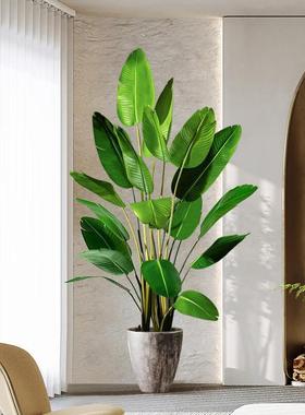 旅蕉LRJ4-6A仿真绿植散尾葵地盆栽落室内大型仿生绿植客摆厅人件