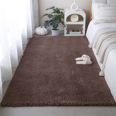 冬季新款毛绒床边毯深色耐脏卧室地毯加厚长毛飘窗垫家用房间地垫