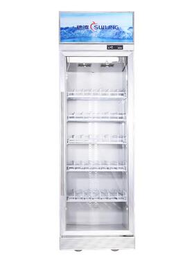 穗商用展示冰柜立式单门饮料玻凌加冷璃门热RIC防雾藏冷柜