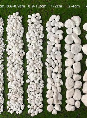 白色碎XXO石鹅卵石然天小盆栽多肉铺面庭院铺石路园林头造景鹅卵