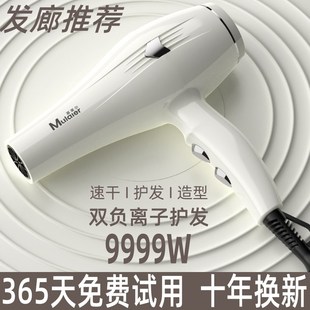 官方正品电吹风机发廊专用大功率负离子护发家用大风力速干冷热风
