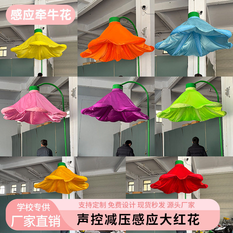 学校专用减压感应开花路灯气模