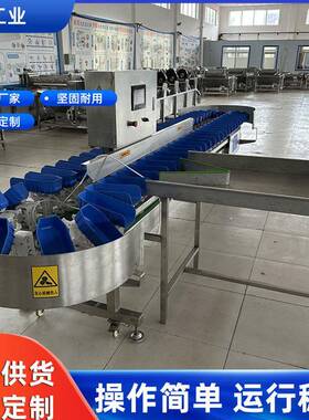 大型全自动砂糖橘重量分选机百香果称重选果机79873产品农拣薯红