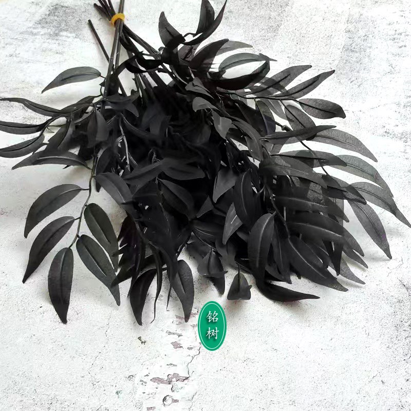 暗黑仿真桉树叶排草树枝雨林盆栽热带道具干塑料绢假植物黑色假草