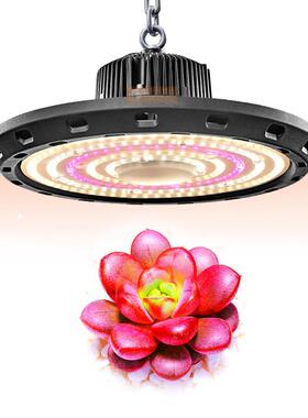 全光植谱植物生长灯大棚温ZWD-UFO室种草莓火物龙果肉室内L多ED植