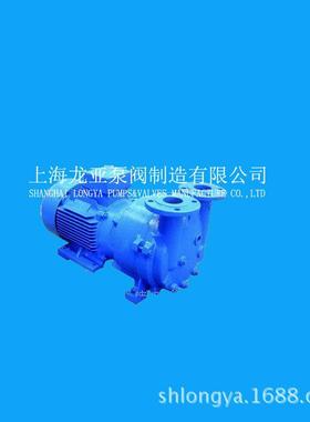 2BV5161-K环RPC真空泵2液BV2061水0环式真空C泵2BV系列水环泵