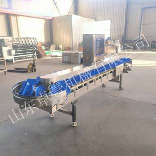 鸡爪翅中重量分选机 鸡腿鸭腿称重分拣机 全自动肉制品冻品分级机
