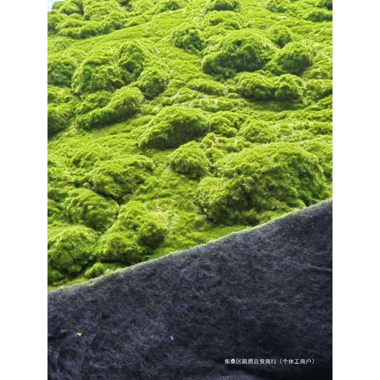 永生绿苔草KZZ皮假苔摆件园景林造盆景橱窗苔藓藓装饰墙人草造坪