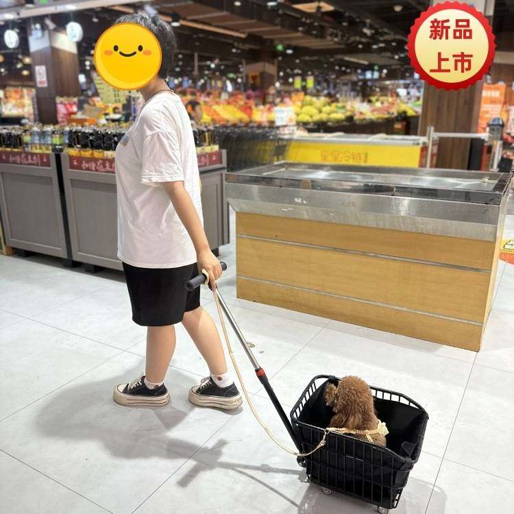 原真七彩彩三轮自行车后座车筐学生大车筐篮筐放书包筐购物小推车,鲜花速递/花卉仿真/绿植园艺,其它园艺用品,淘宝优惠券,粉丝福利购,淘宝优惠卷