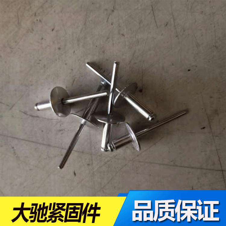 抽芯铆钉大帽檐拉铆112钉5/4/8x25长度.4.8*20机柜钉4.#8*16+1311