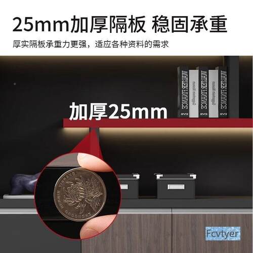 菲特博老板文件柜办公景书柜储物办公DTC室木质背现档代案柜资料