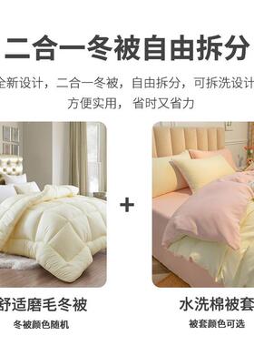 被nB77Zft6套带冬被春秋子加保暖二合厚一可生拆洗学宿被舍单双人
