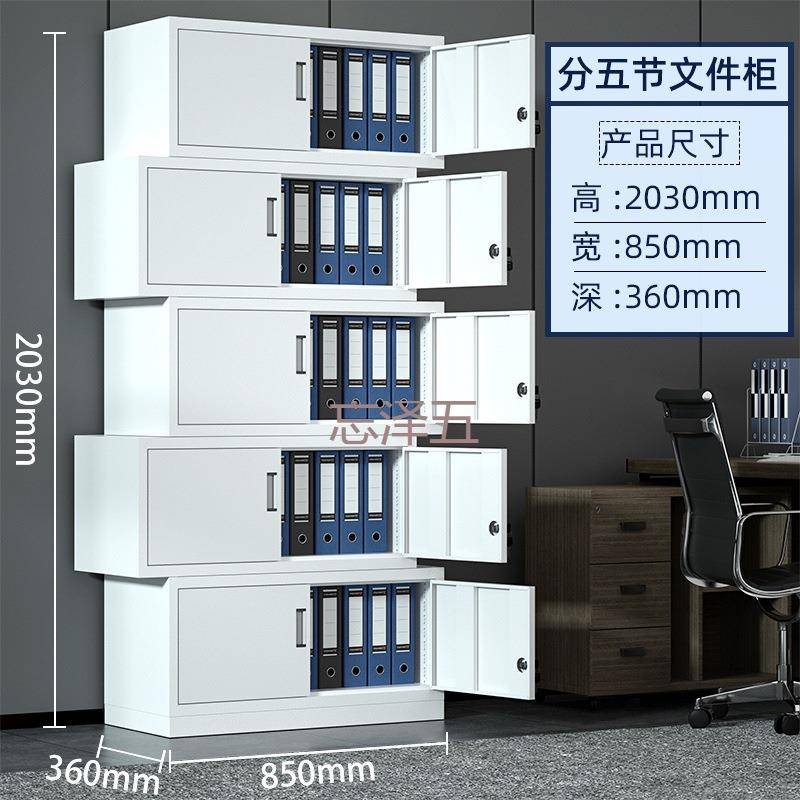 PC铁文皮件柜柜NPS办公室档案资料财务凭证收纳衣柜矮柜更抽屉储