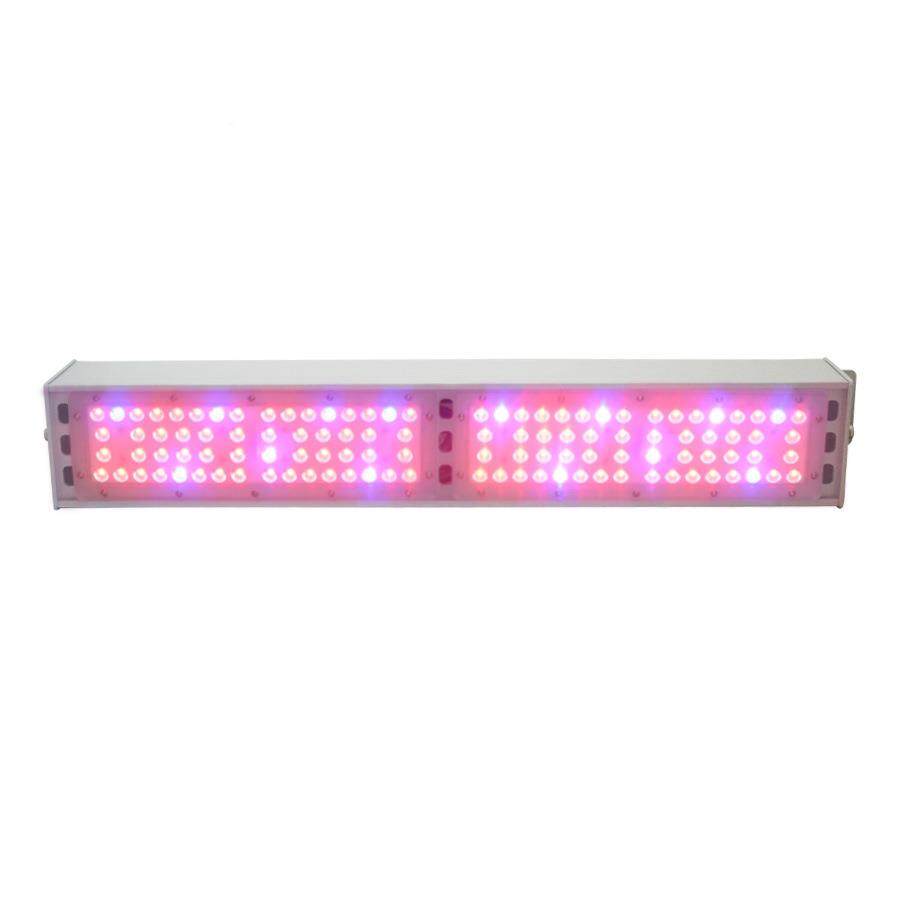 植物补光22LIP0瓦100W全光d谱太阳植光温室花卉热灯植le专用物生