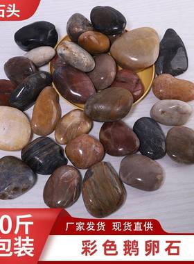 五彩抛鹅卵石40花FVY斤装工程铺路鱼缸抛布景装饰精光五彩雨石光