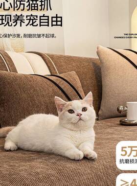 225新款轻奢沙F98H6HM9冬发盖垫感四季通用雪尼尔0防滑坐垫秋沙发