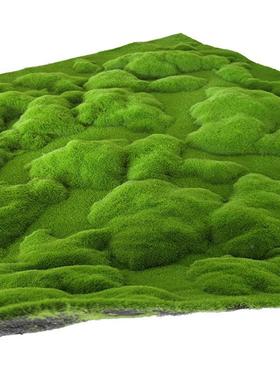 仿青苔草皮大鼓包苔藓草苔坪软装真仿真装植物墙相80956框饰藓草