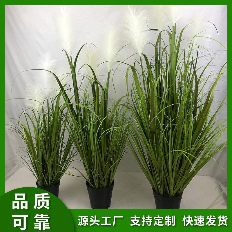 仿真盆景日系苗苗花艺家居植物客厅装饰盆景大型仿真植物仿真芦苇