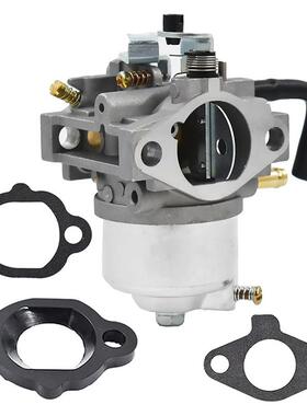 492256 化油器 Briggs & Stratton 260000 261000 草坪机 发动机