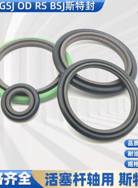 RS组合油封斯特封密封圈STd 175 180 190*195.5 200.5 210.5* 8.1
