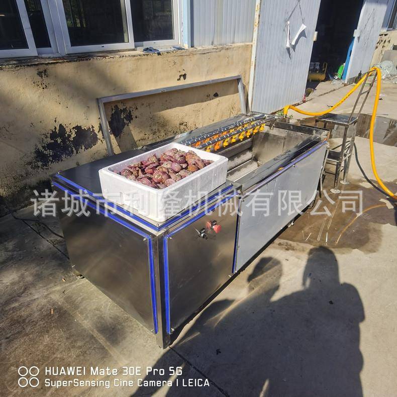 多功能毛刷清洗机 扇贝牡蛎清洗泥沙机 野蒜大蒜清洗机