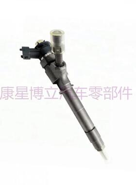 柴油喷油器共轨喷油器 0445110250 WLAA13H50型号齐全110系列