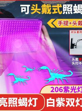 新款206颗紫光灯 高亮LED蝎子灯 头戴手提两用