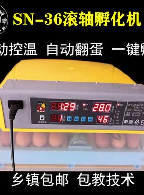人工育苗箱育苗孵化机全自动卵化机小鹅聊化机生小鸡呼蛋器浮小鸡