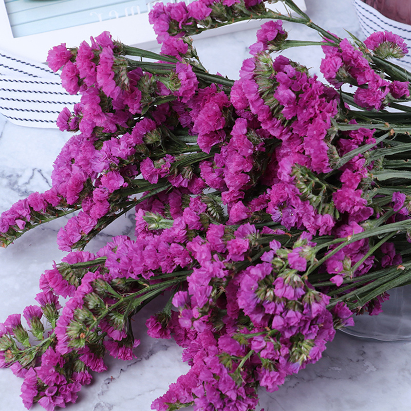 家庭简约家居卧室勿忘我干花云南花束真花家居客厅摆设装饰插花