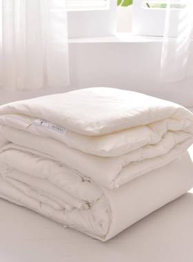 A类春夏简约全大棉豆纤维被芯日全棉白色被子加RNI式厚保暖冬季