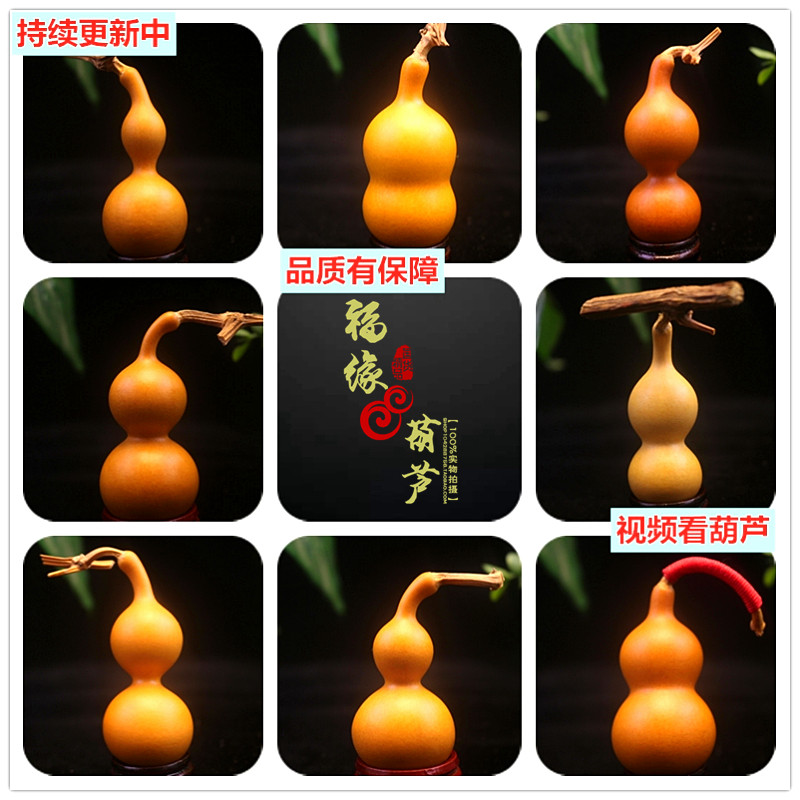 津嘴葫芦 葫芦手捻 文玩葫芦精品小葫芦 把件葫芦天然 八宝葫芦