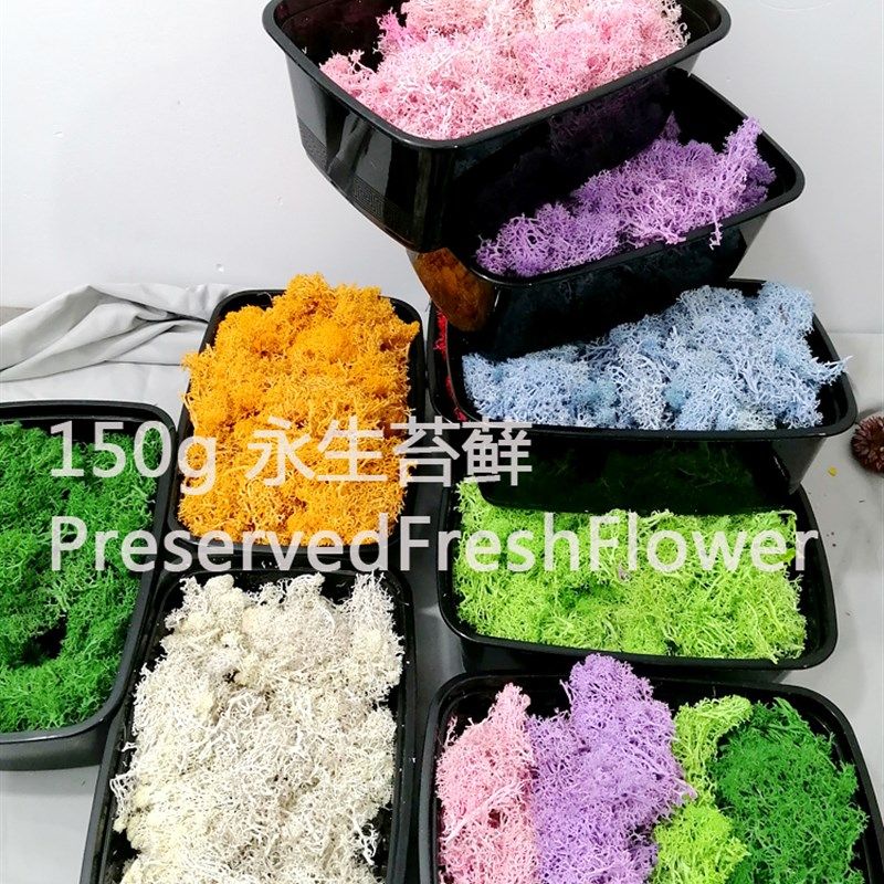 苔藓150克永生花精选干花包苔藓墙家居装饰DIY玻璃罩花盒填充材料