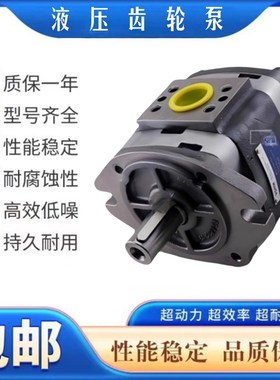 VOITH福伊特内啮合齿轮泵IPVAP5-32-101双联液压油泵IPV6-125 101